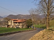 Sentieri fioriti sopra casa ad anello-Zogno-28mar22 - FOTOGALLERY